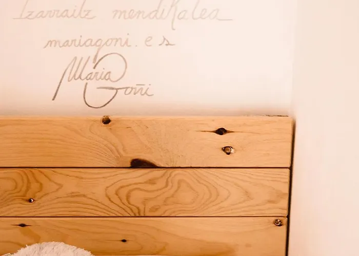 Zuhaitz Alrededores De San Sebastian Azpeitia