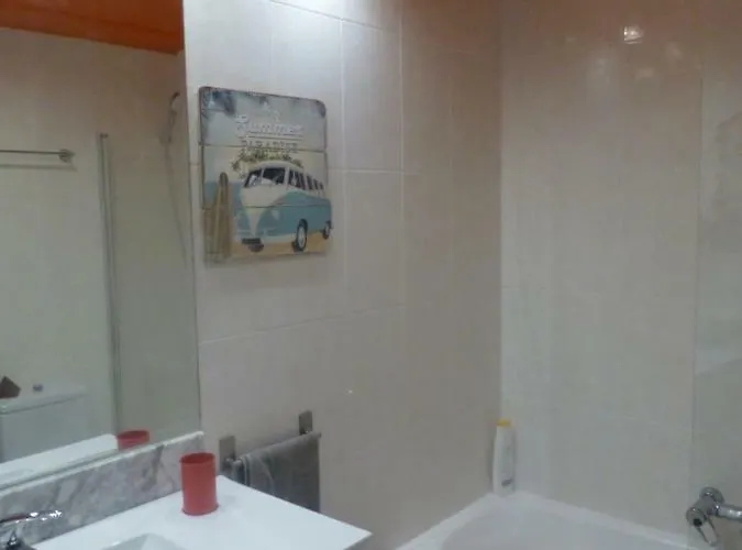 Zuhaitz Alrededores De San Sebastian Azpeitia