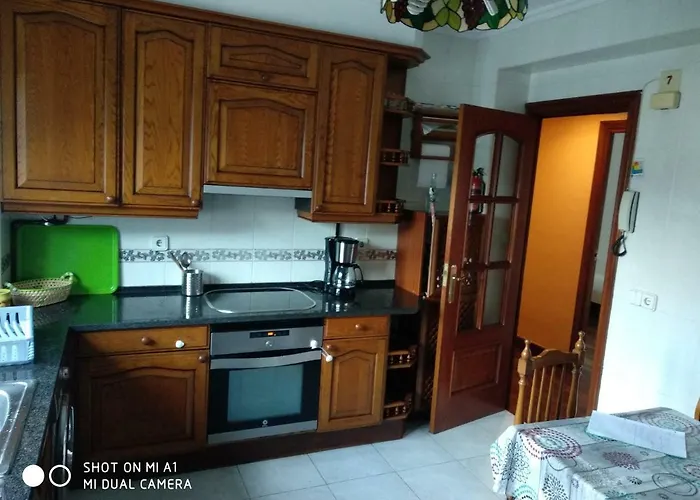 Zuhaitz Alrededores De San Sebastian *